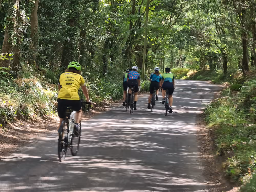 Group of women road cyclists in club jerseys riding together up a tree-lined Devon lane